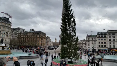 20151212_133759 (Large).jpg